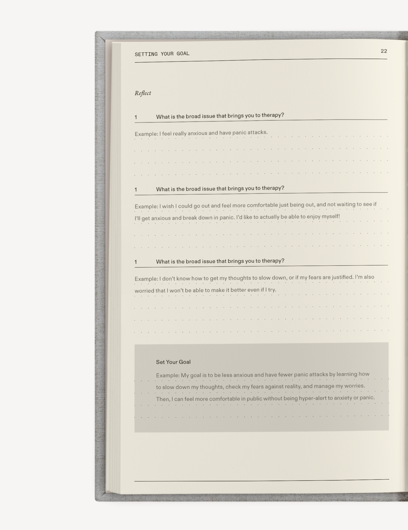 El diario de terapia de Therapy Notebooks