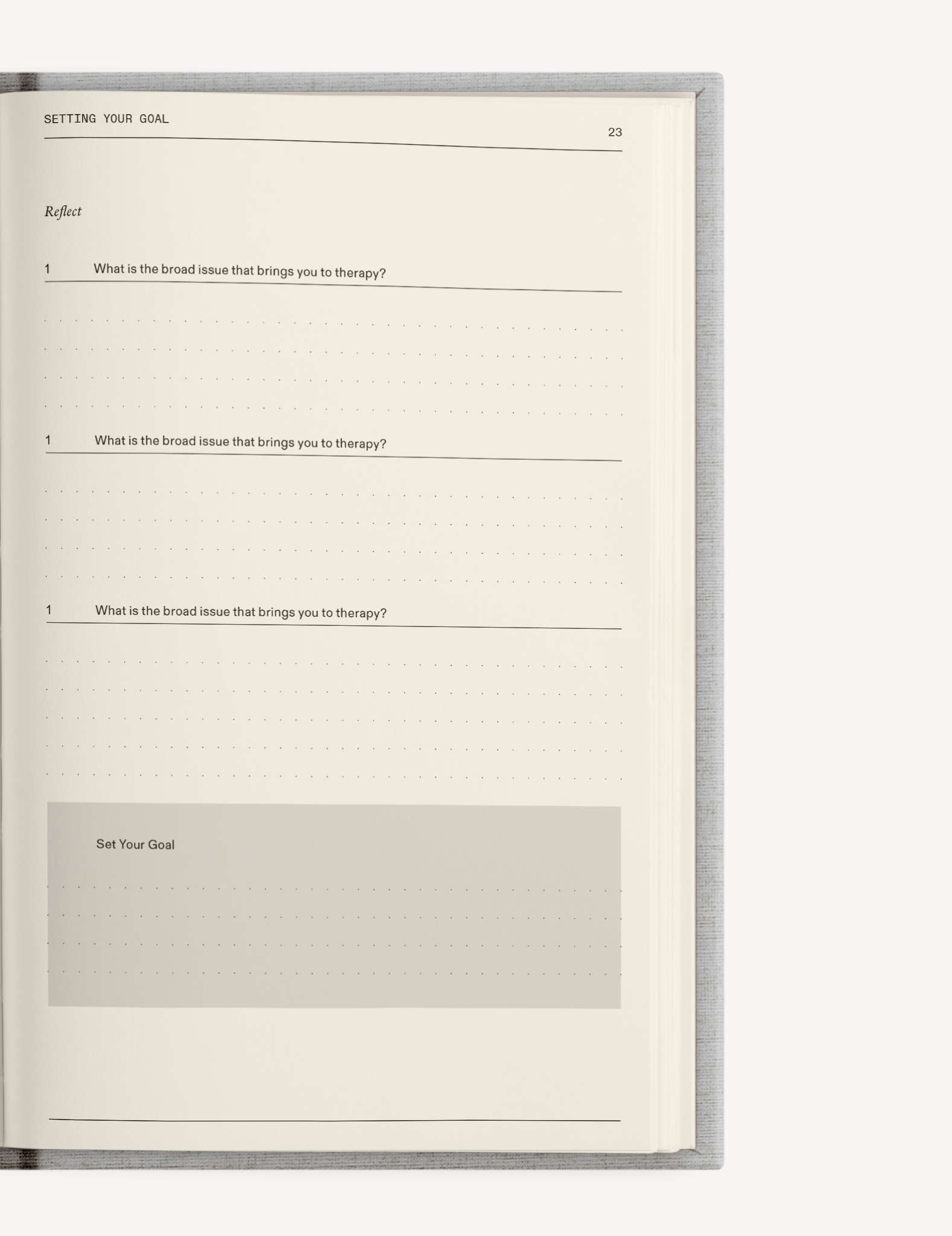 El diario de terapia de Therapy Notebooks