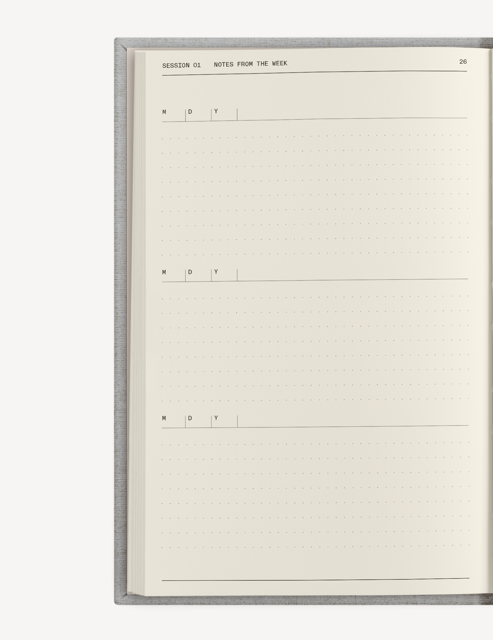 El diario de terapia de Therapy Notebooks