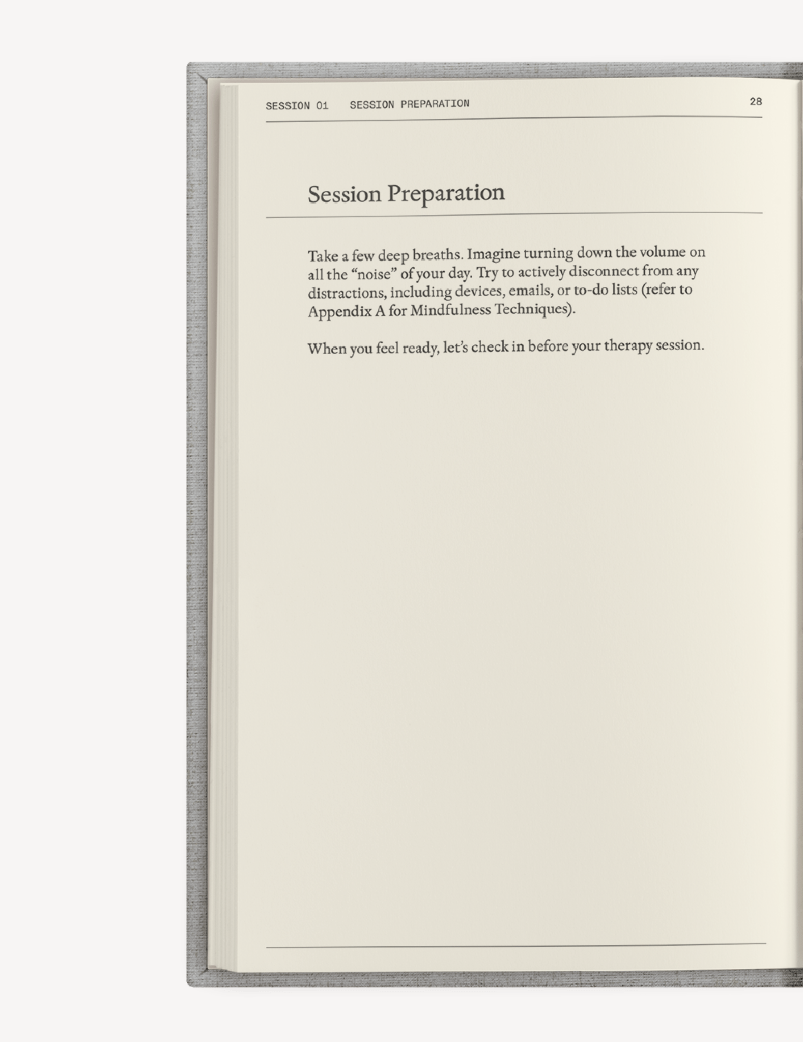 El diario de terapia de Therapy Notebooks