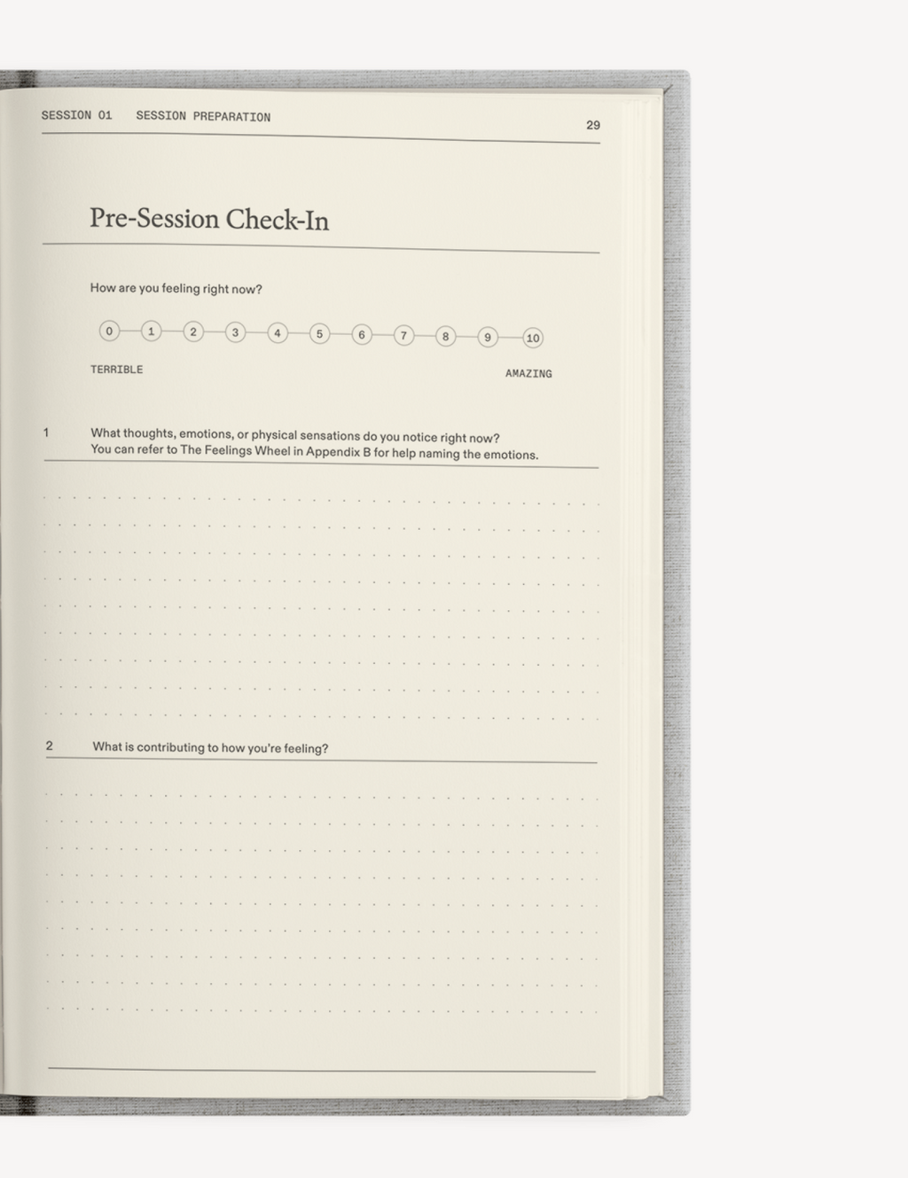 El diario de terapia de Therapy Notebooks