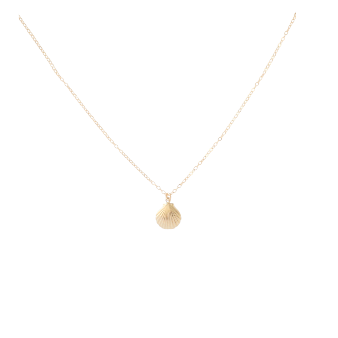 Clamshell Necklace