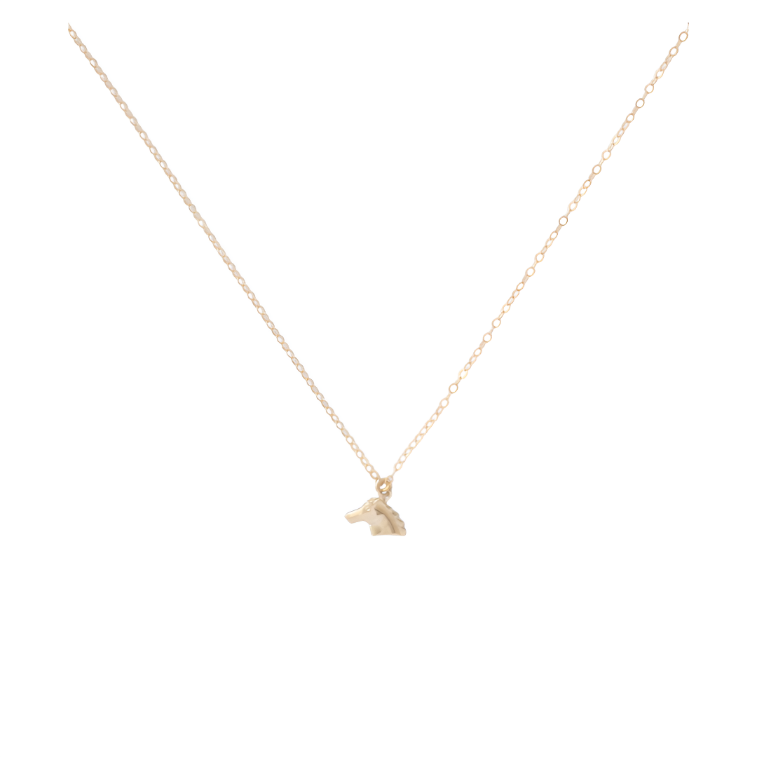 Collar de caballo salvaje