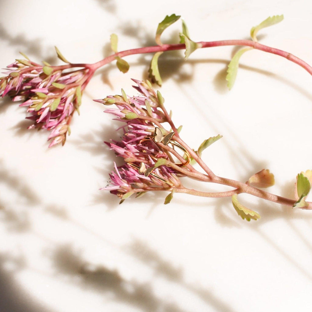 Anillo de mariposa pequeña