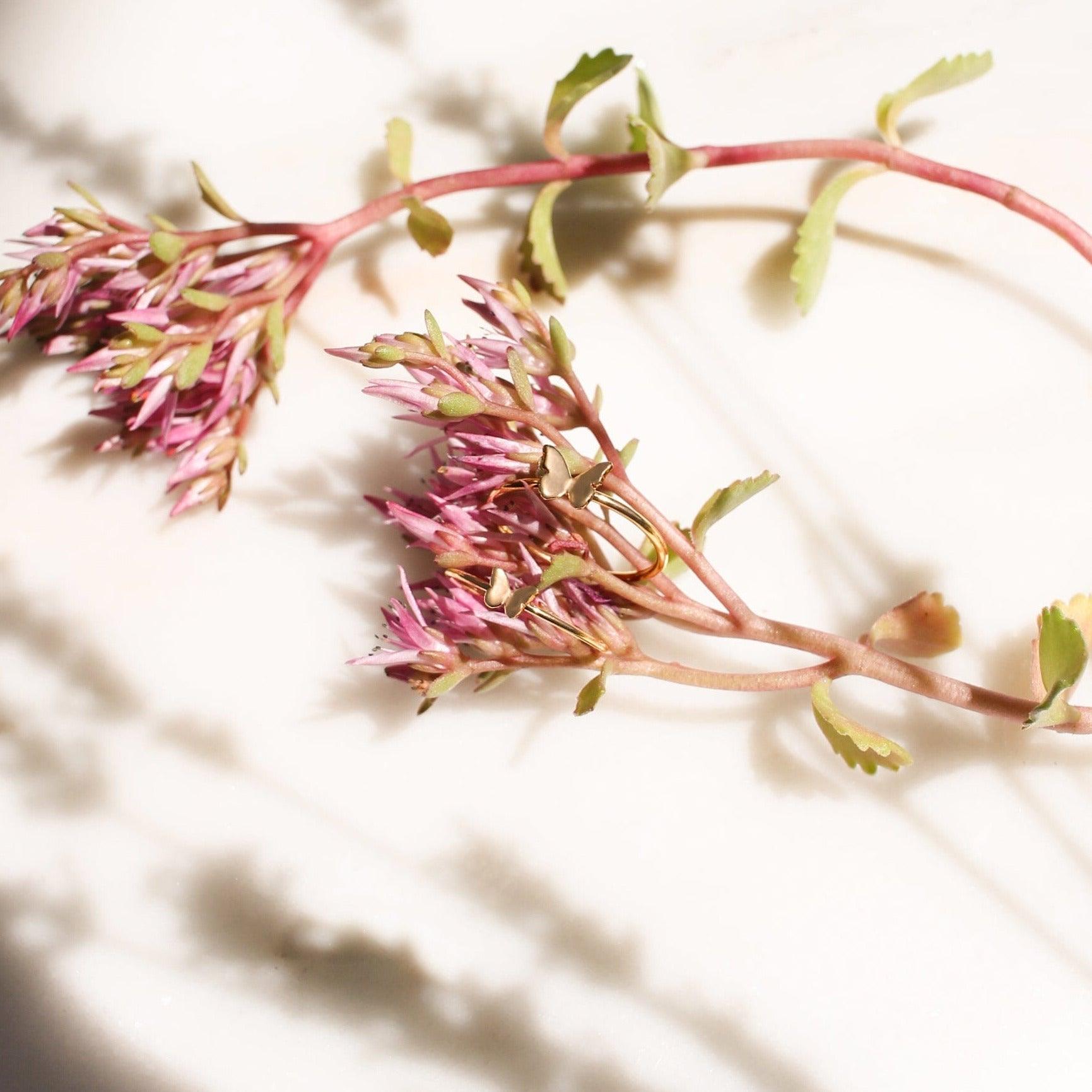 Anillo de mariposa pequeña